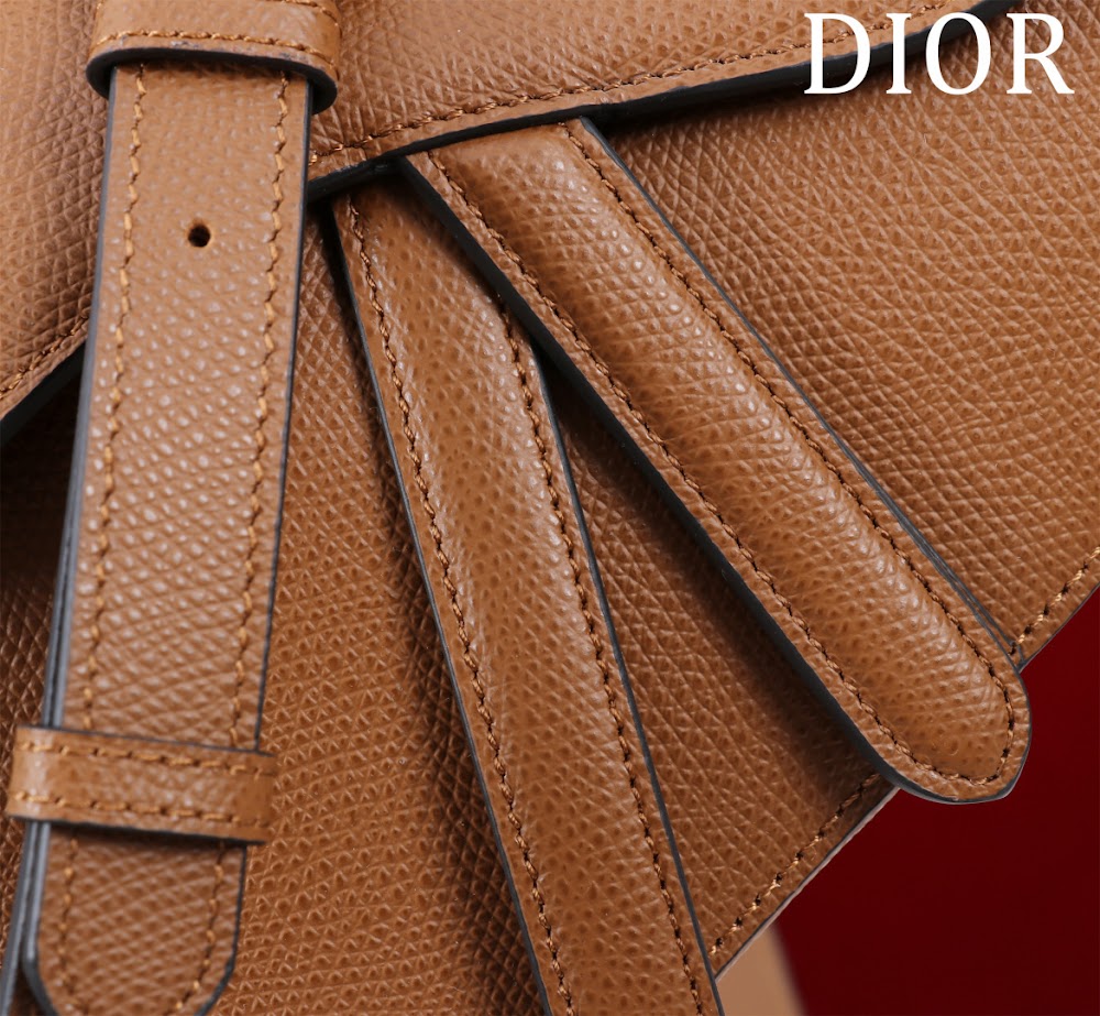 Dragons BagsDiorn Luxury Bag --116498