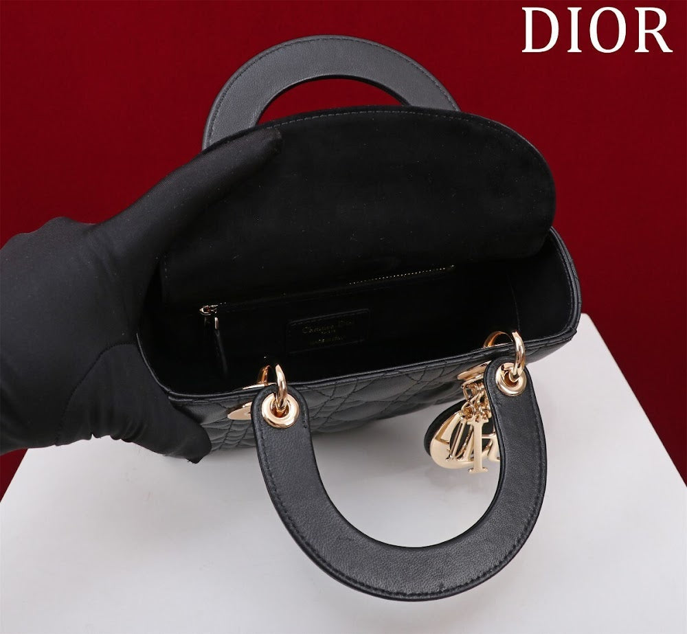 Dragons BagsDiorn Luxury Bag --115923