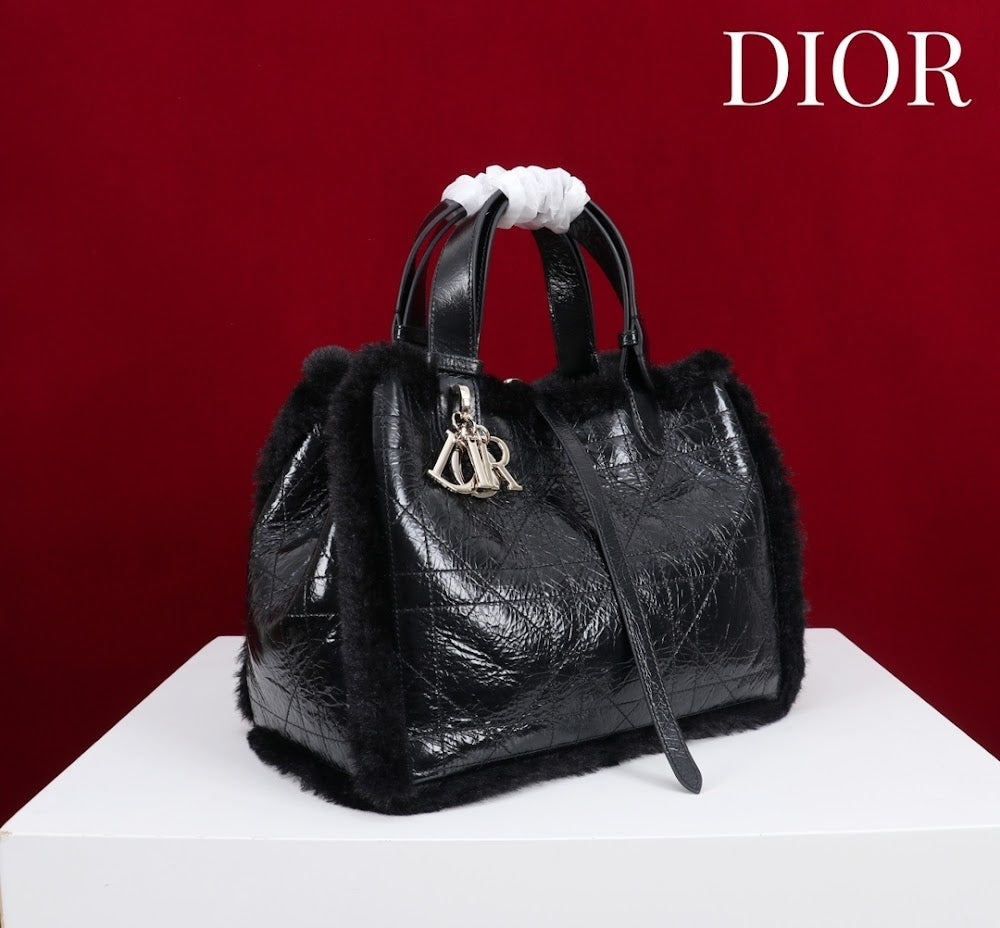 Dragons BagsDiorn Luxury Bag --116119
