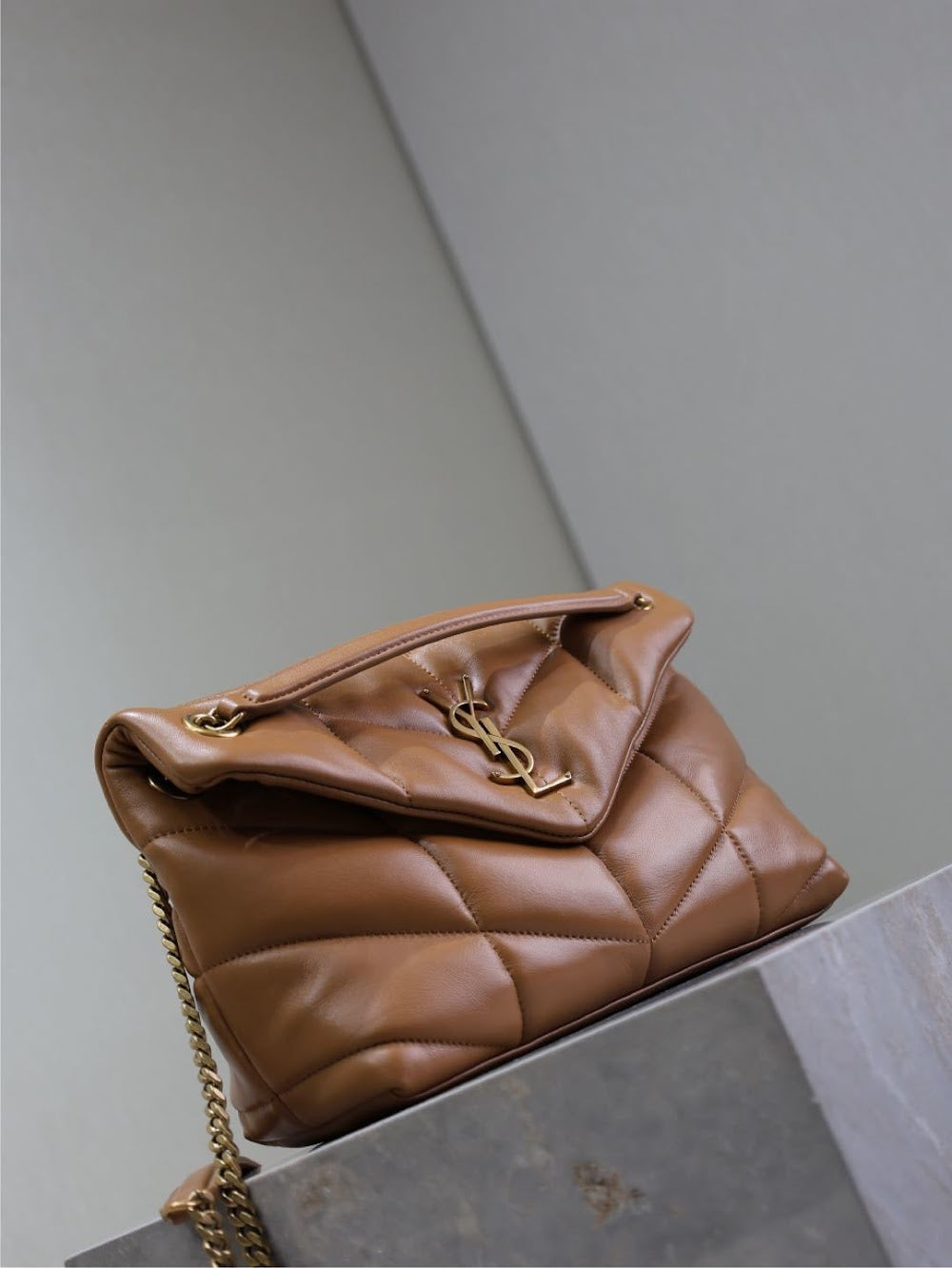 Dragons Bags YSLn Luxury Bag --119433
