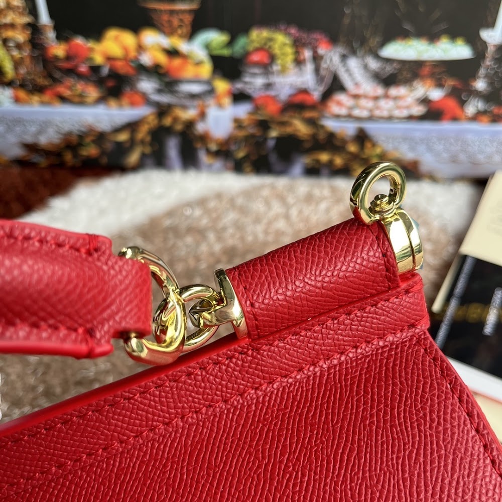 Dragons Bags DGn Luxury Bag --94034