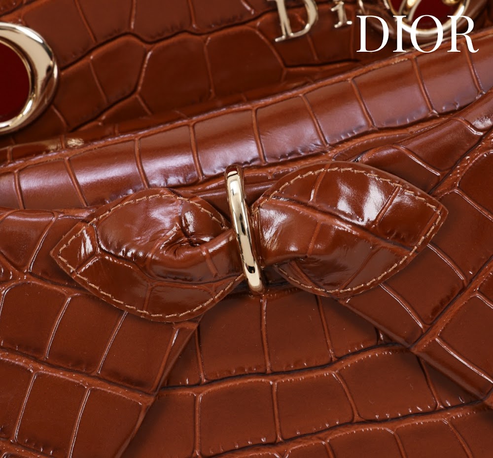 Dragons BagsDiorn Luxury Bag --114790
