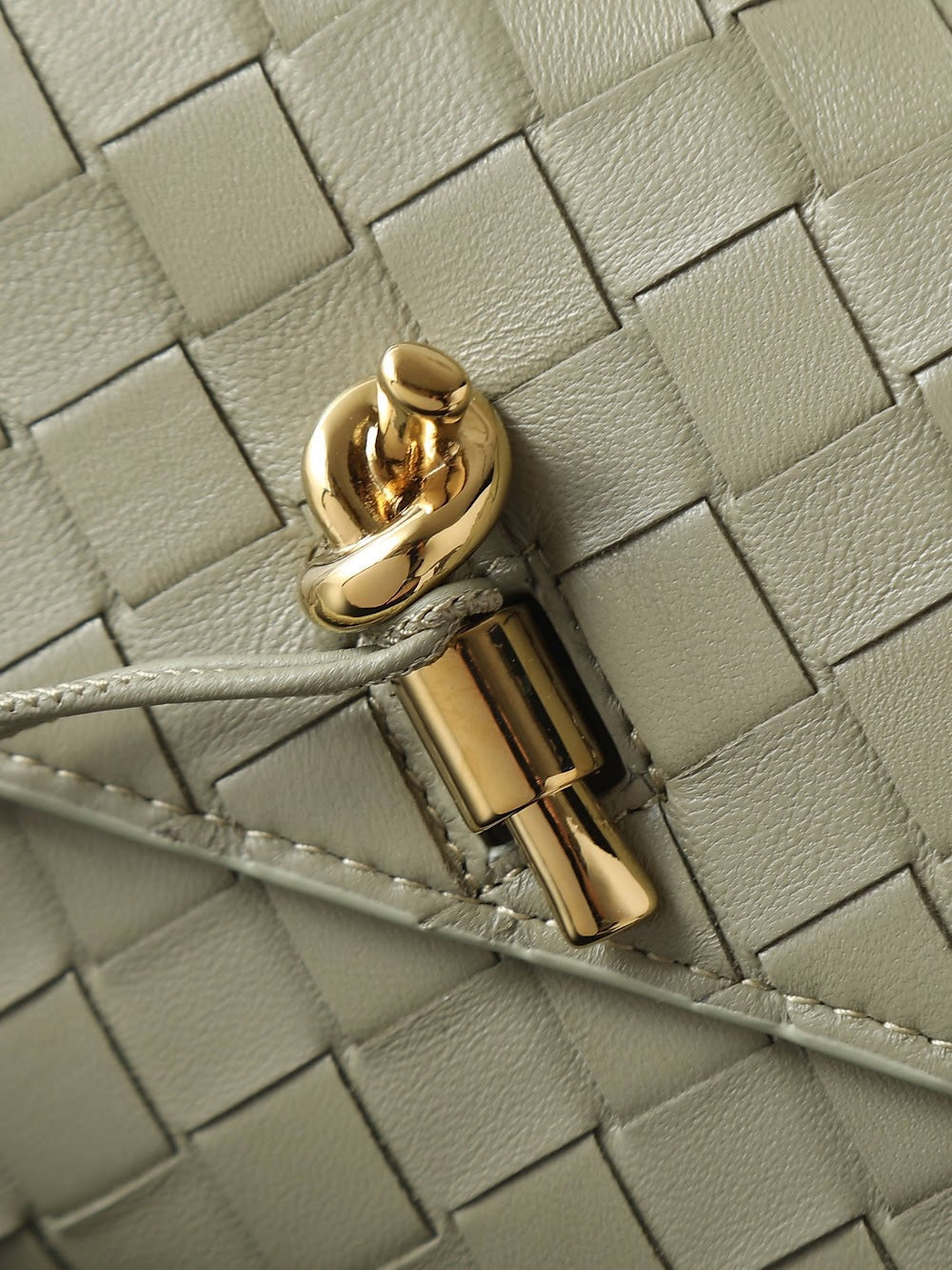 Dragons Bags Bottegan Luxury Bag --91396