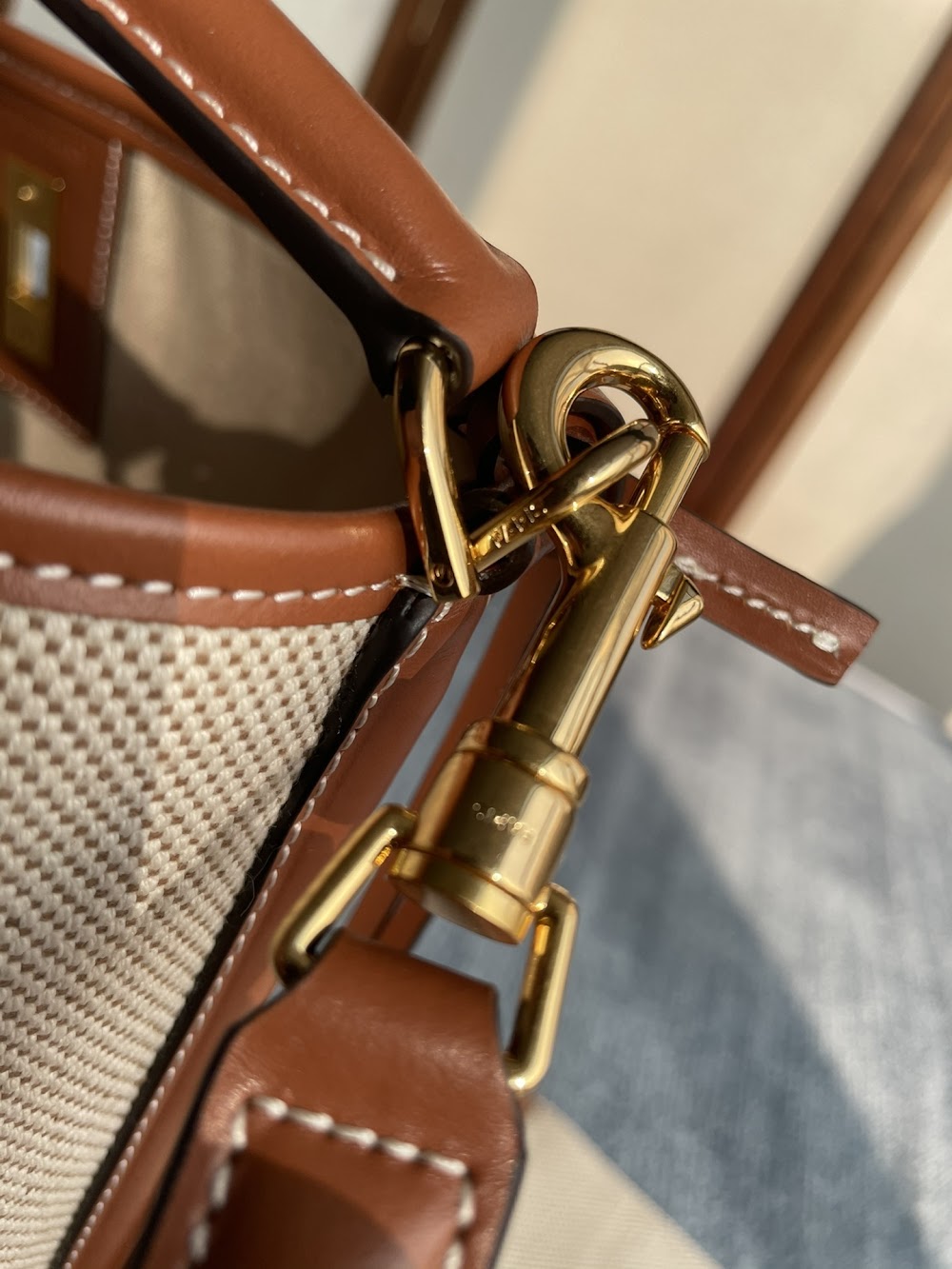 Dragons Bags Celine Luxury Bag --112235