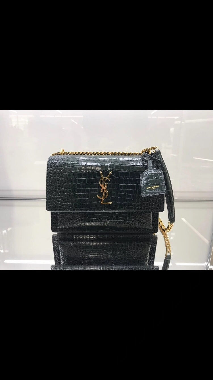 Dragons Bags YSLn Luxury Bag --120813
