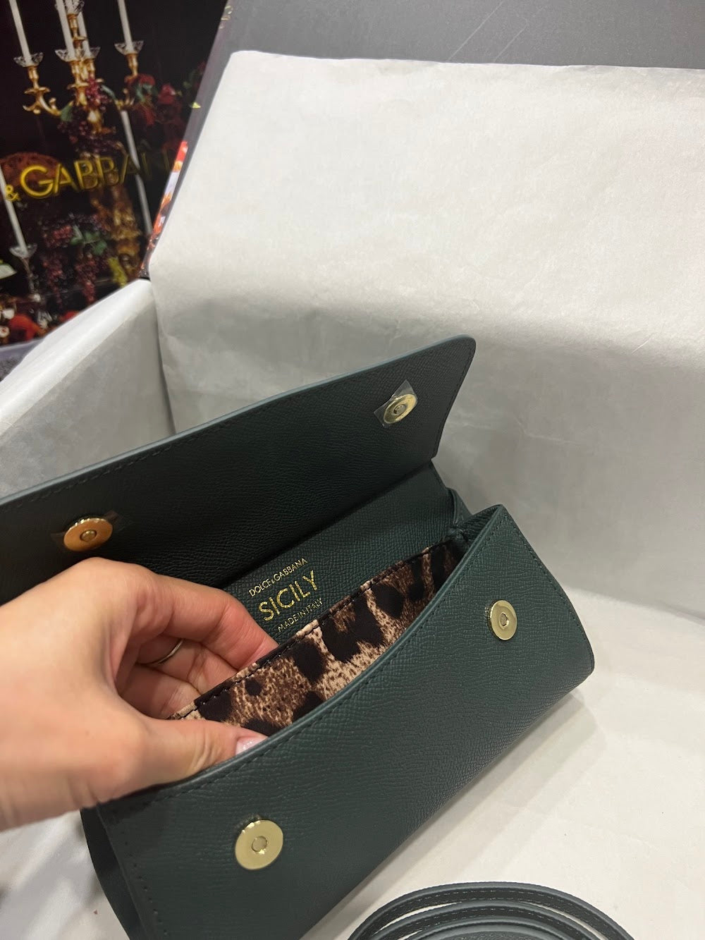 Dragons Bags DGn Luxury Bag --93311