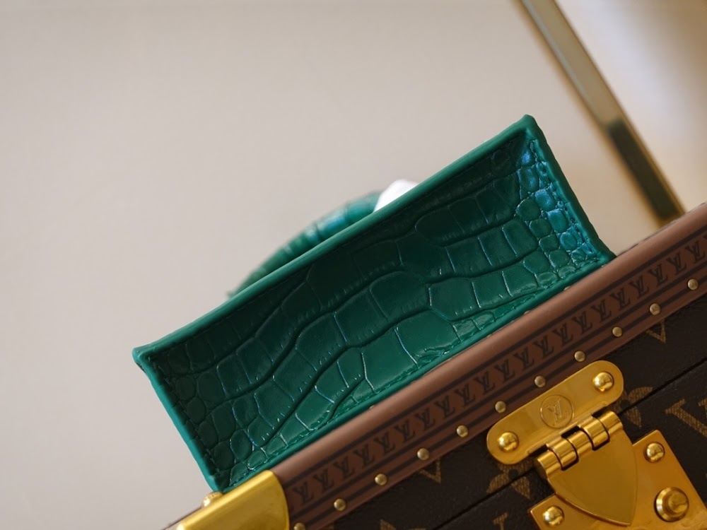 Dragons Bags ln Luxury Bag --60269