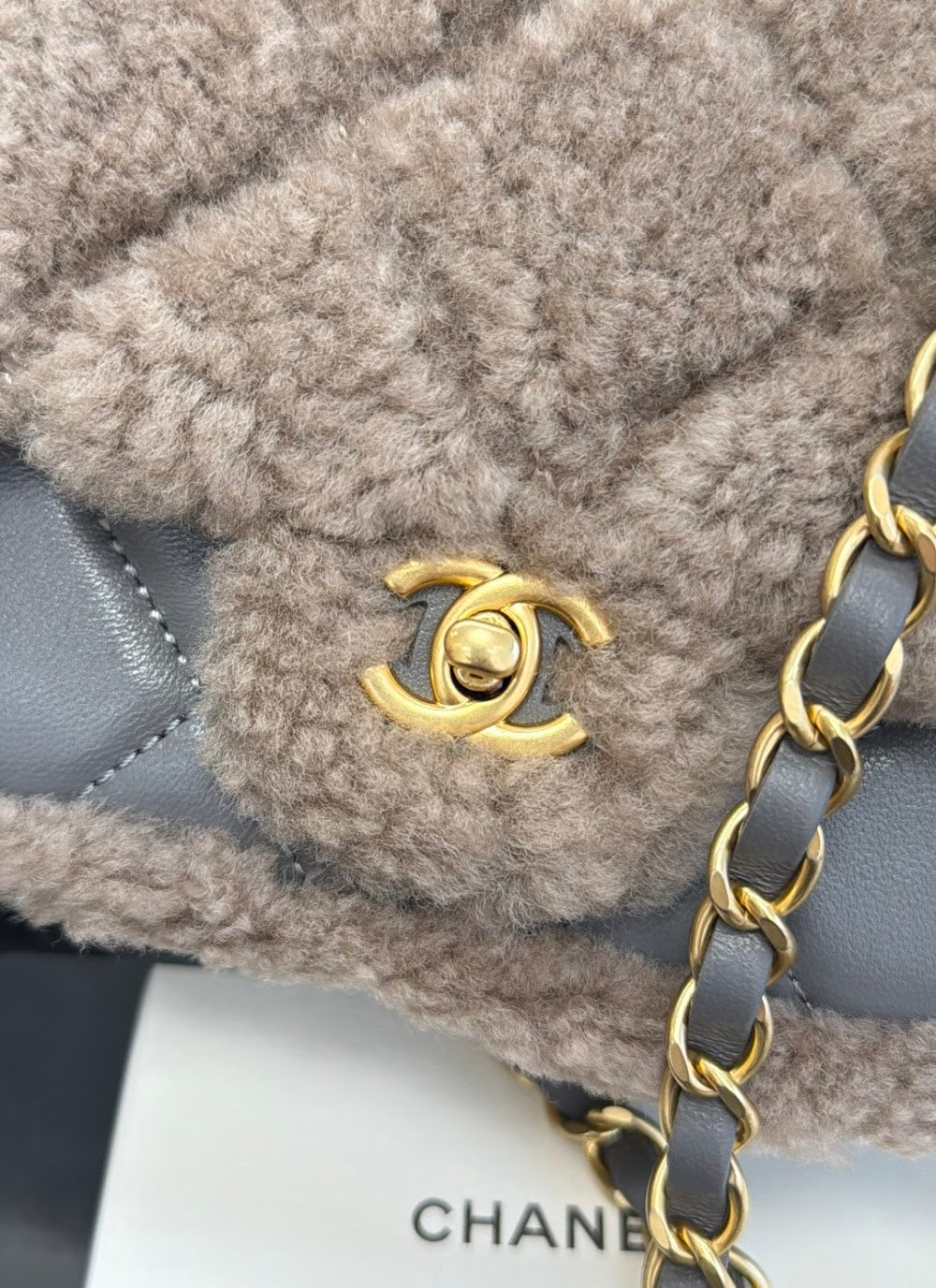 Dragons Bags CHn Luxury Bag --112853