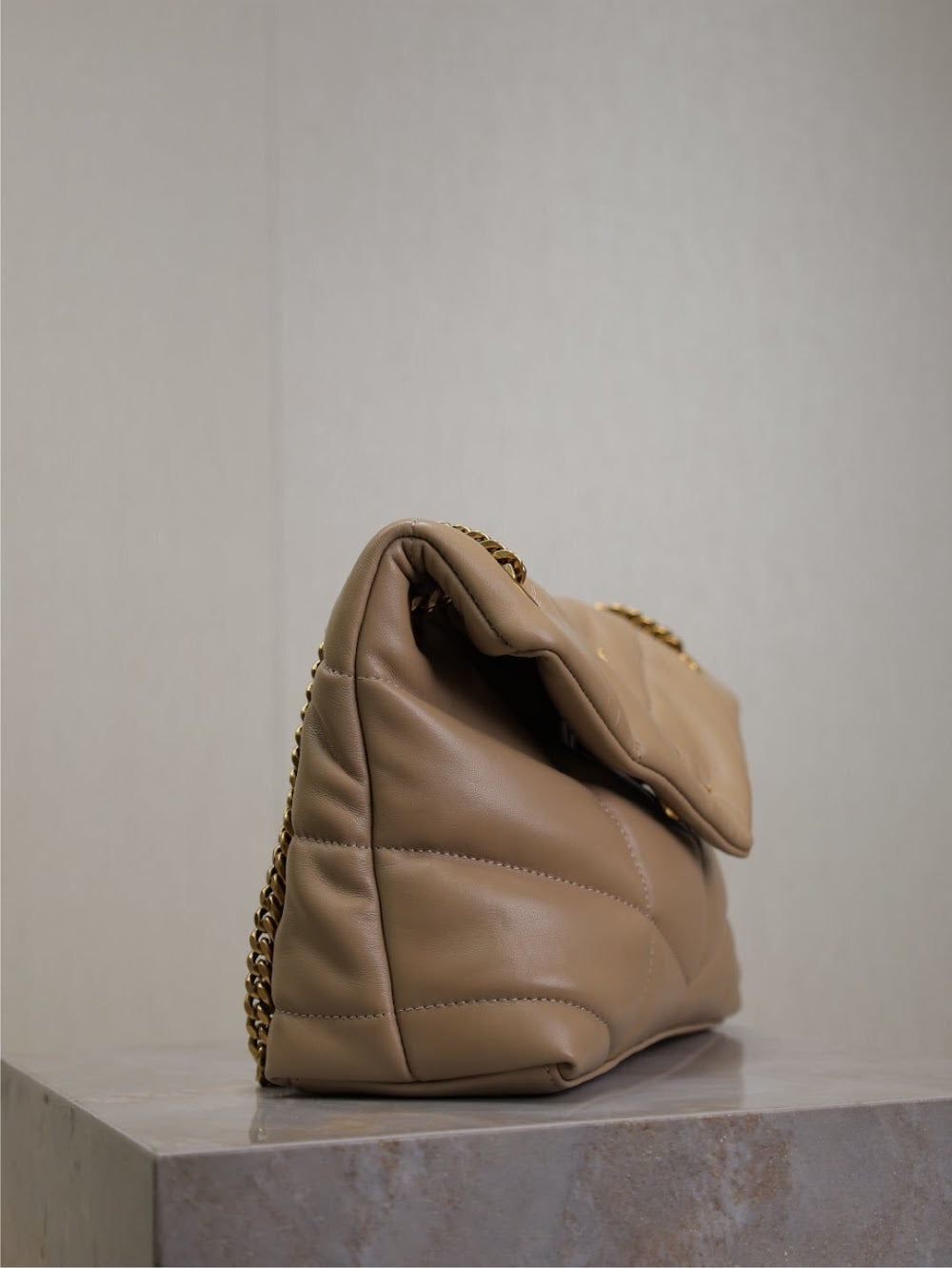 Dragons Bags YSLn Luxury Bag --119430