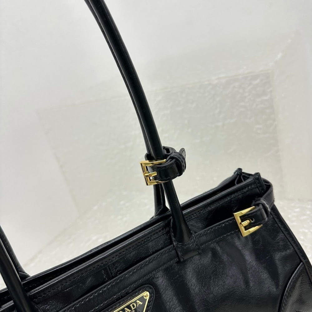 Dragons Bags Pradn Luxury Bag --102002