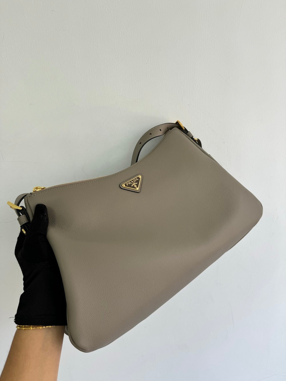 Dragons Bags Pradn Luxury Bag --102560