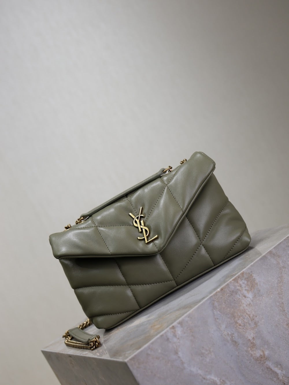 Dragons Bags YSLn Luxury Bag --119446