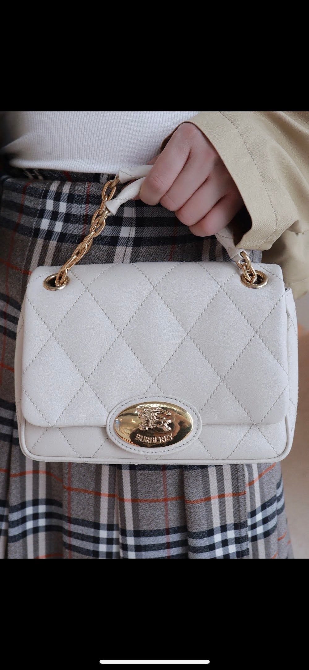 Dragons Bags Burberryn Luxury Bag --92332