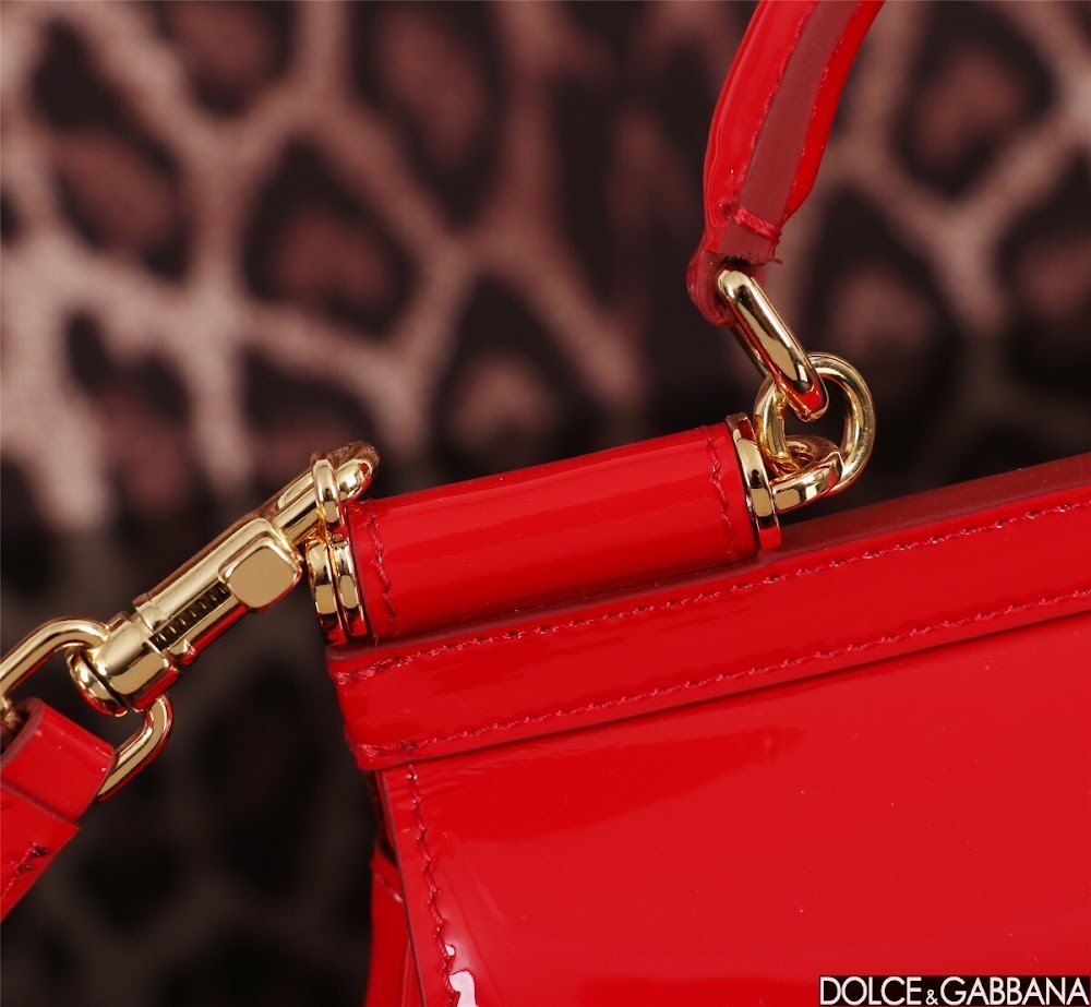 Dragons Bags DGn Luxury Bag --93637