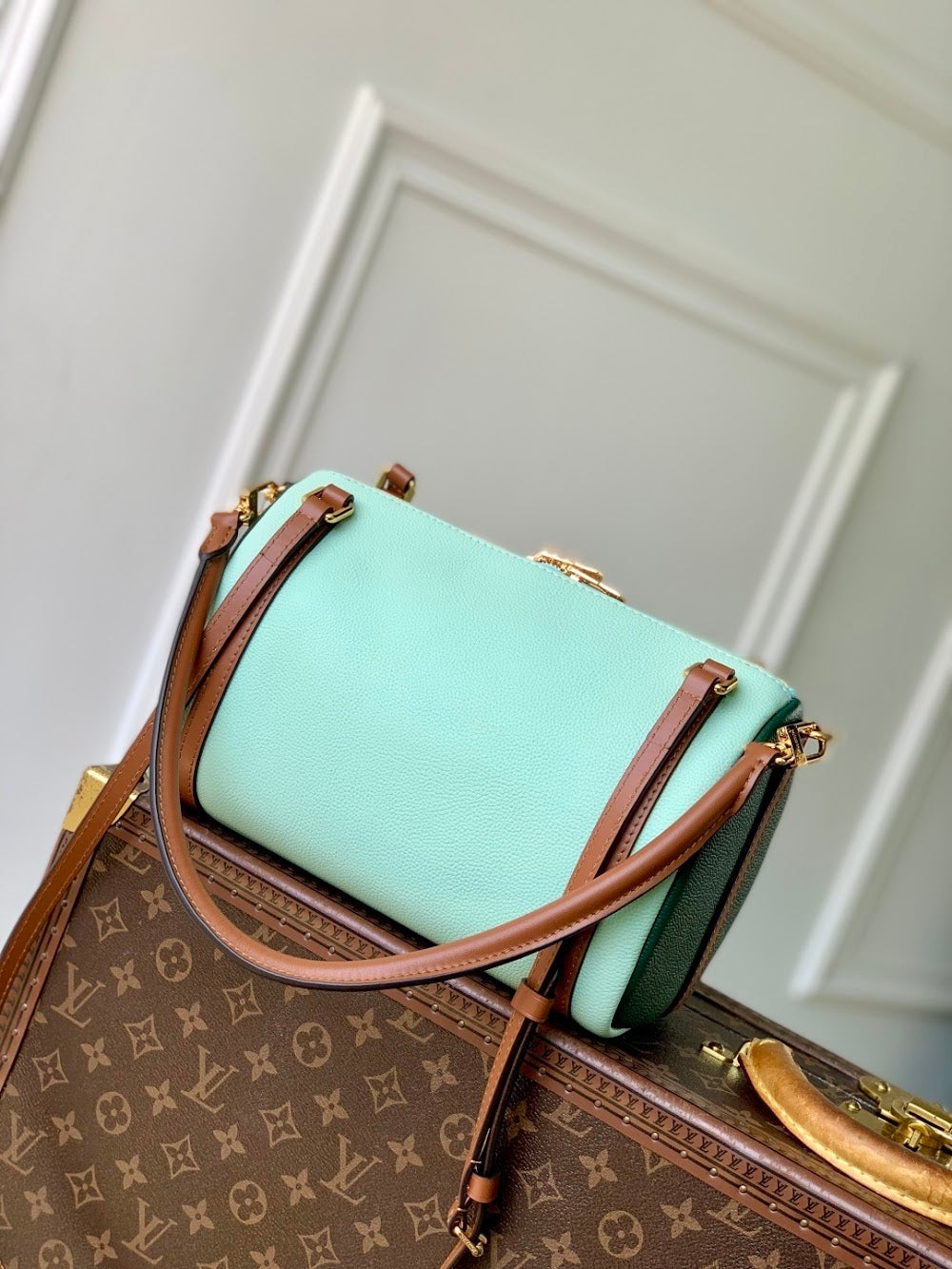 Dragons Bags ln Luxury Bag --96701