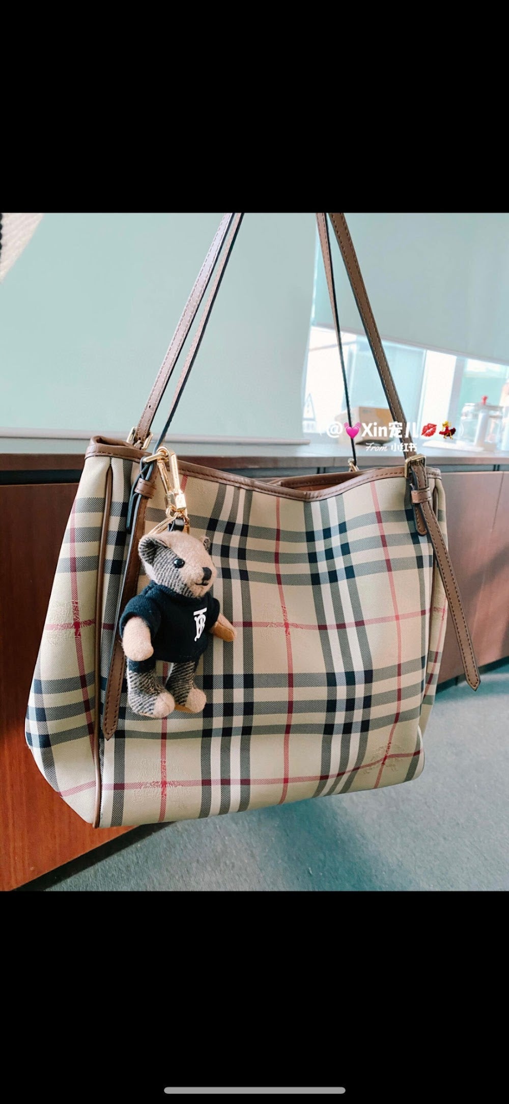 Dragons Bags Burberryn Luxury Bag --92317