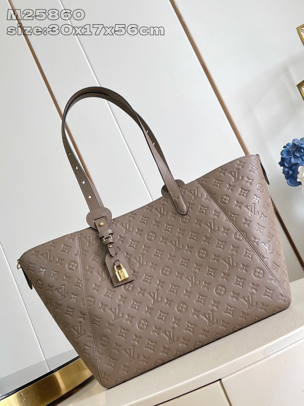 Dragons Bags ln Luxury Bag --96865