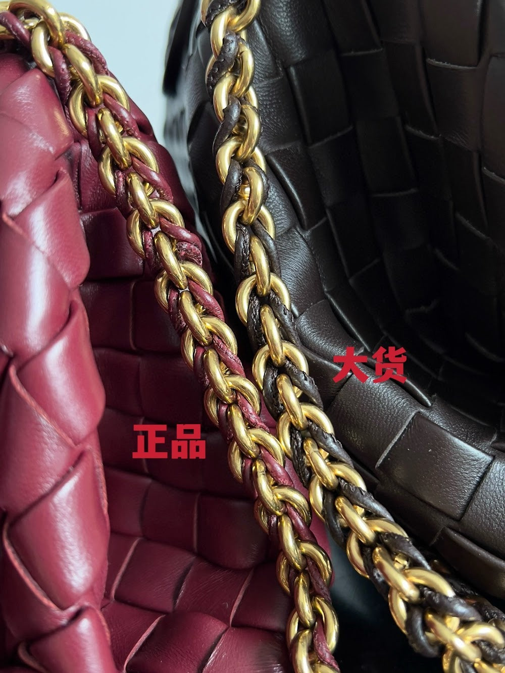 Dragons Bags Bottegan Luxury Bag --91278