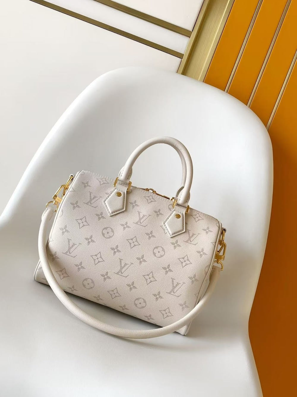Dragons Bags LVn Luxury Bag --80331