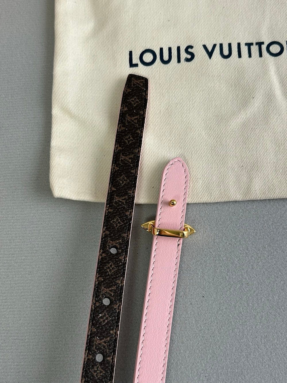 Dragons Bags ln Luxury Belt --110038
