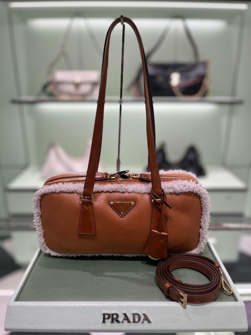 Dragons Bags Pradn Luxury Bag --102874