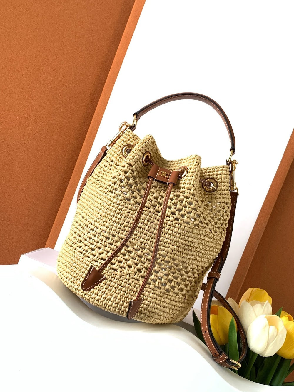 Dragons Bags Celine Luxury Bag --112064