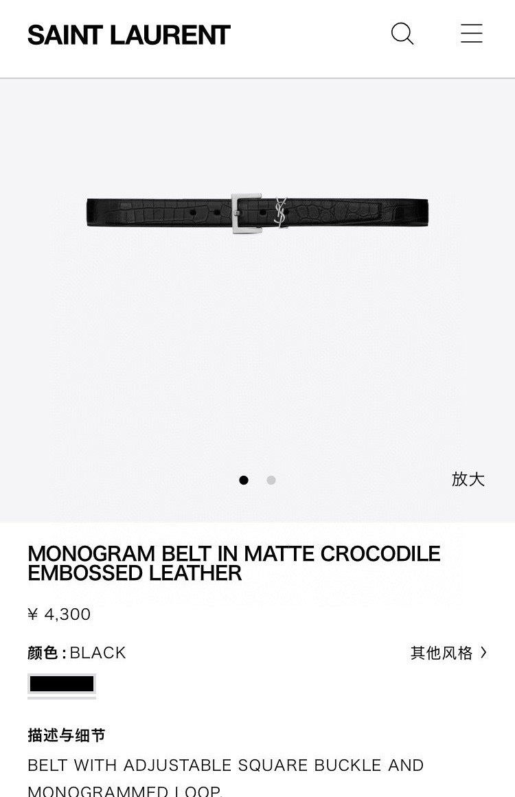 Dragons Bags YSLn Luxury Belt --110520