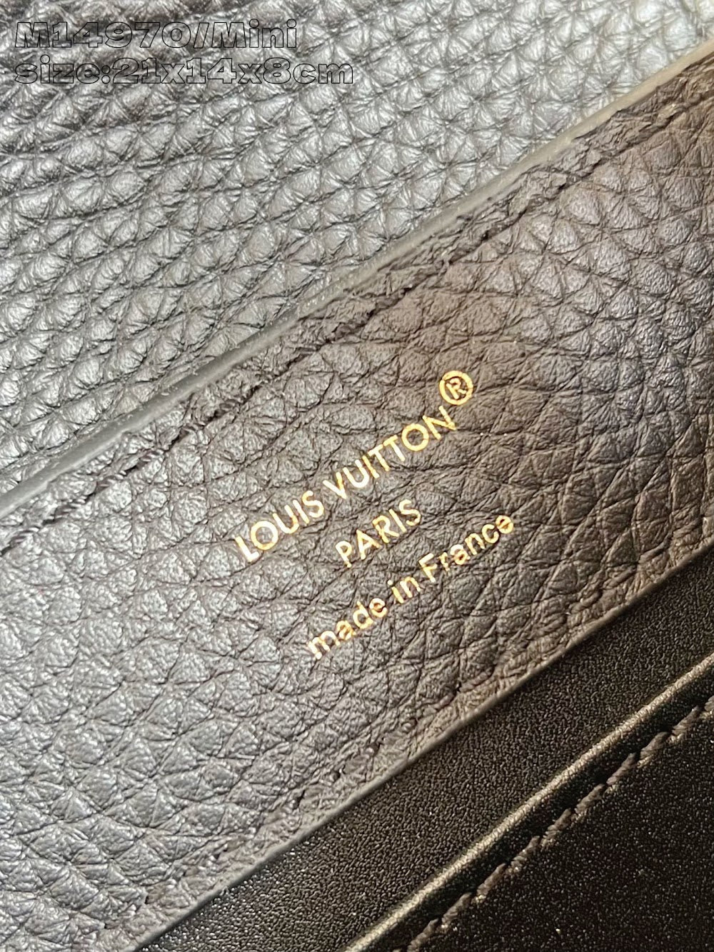 Dragons Bags ln Luxury Bag --97372