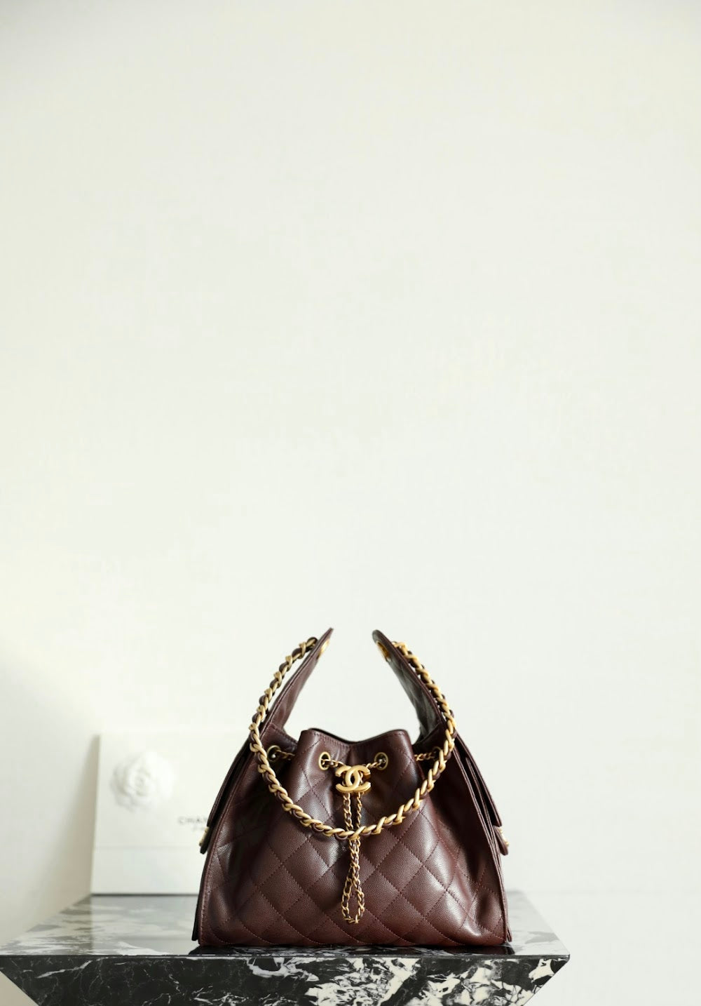 Dragons Bags CHn Luxury Bag --113615