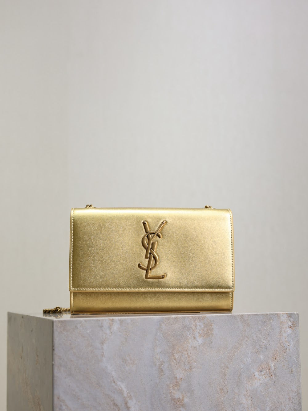 Dragons Bags YSLn Luxury Bag --119513