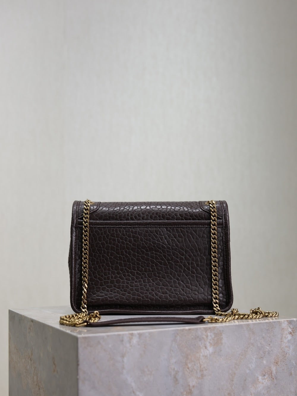 Dragons Bags YSLn Luxury Bag --119700