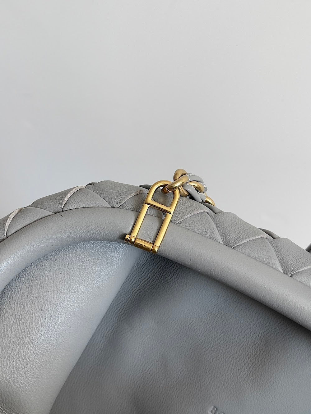 Dragons Bags Bottegan Luxury Bag --91091