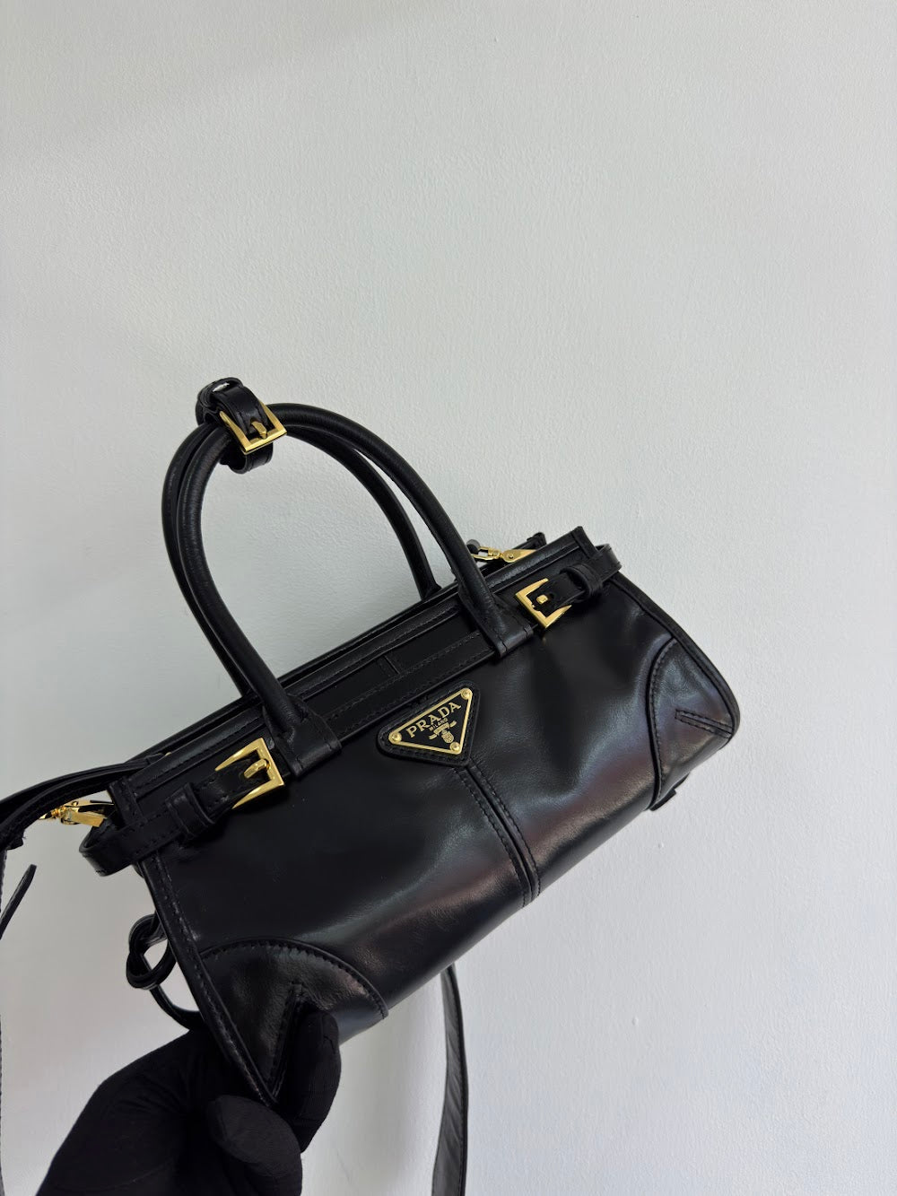 Dragons Bags Pradn Luxury Bag --102489