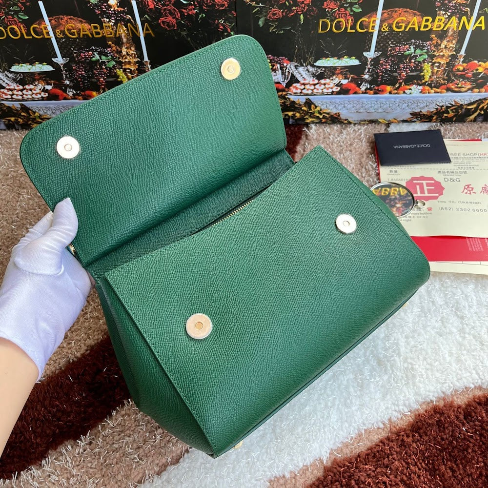 Dragons Bags DGn Luxury Bag --94110