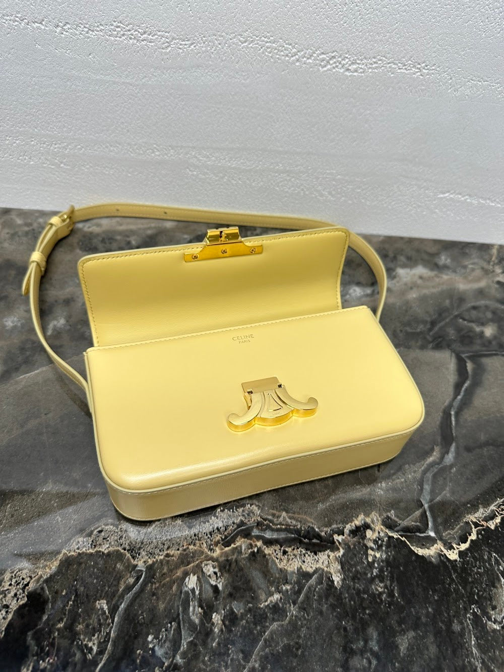 Dragons Bags Celine Luxury Bag --112424