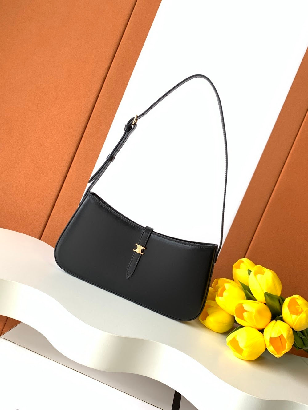 Dragons Bags Celine Luxury Bag --112116