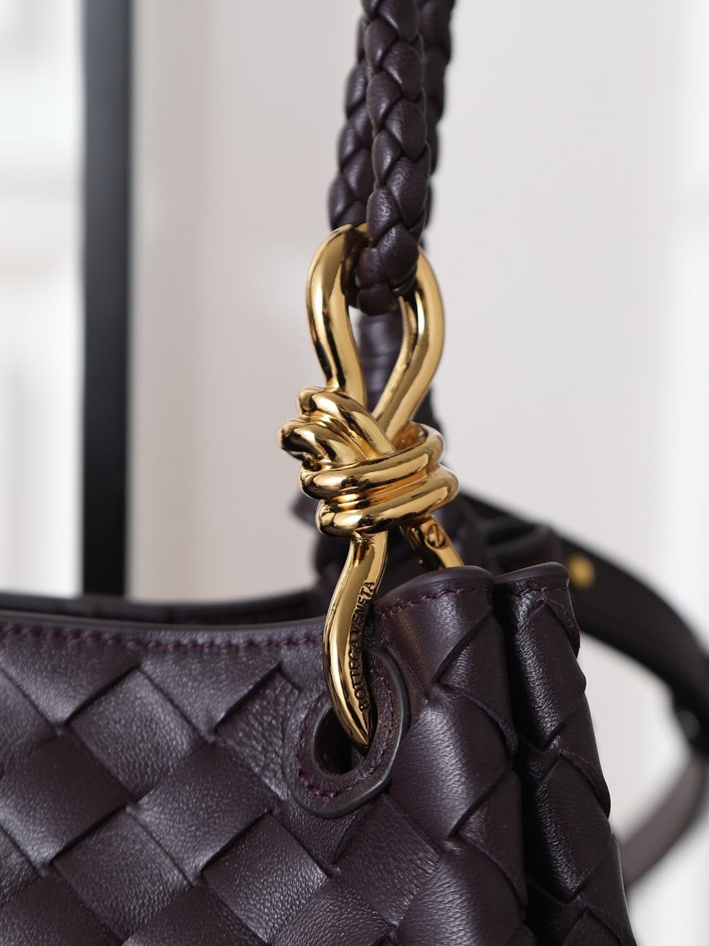 Dragons Bags Bottegan Luxury Bag --91327