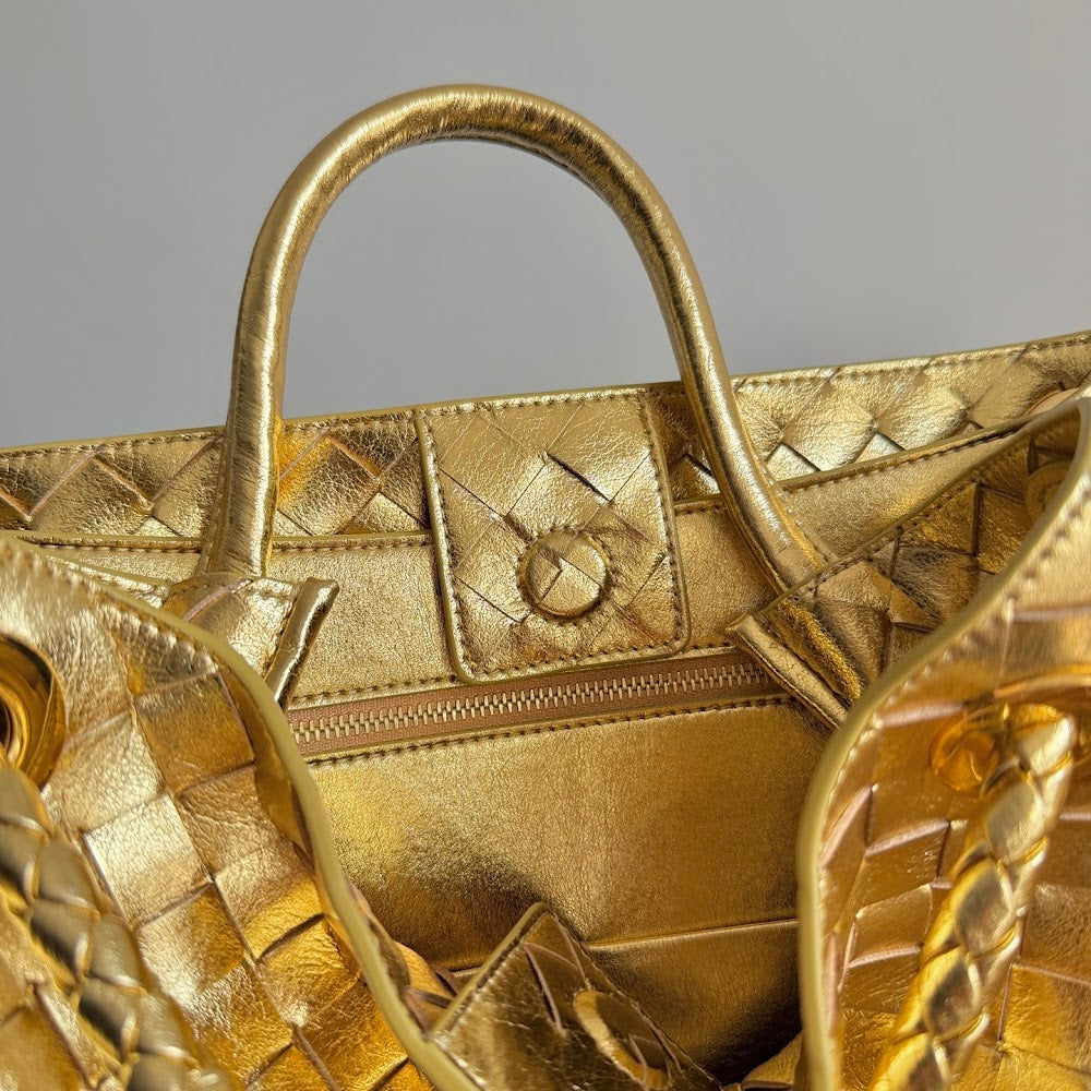 Dragons Bags Bottegan Luxury Bag --91311