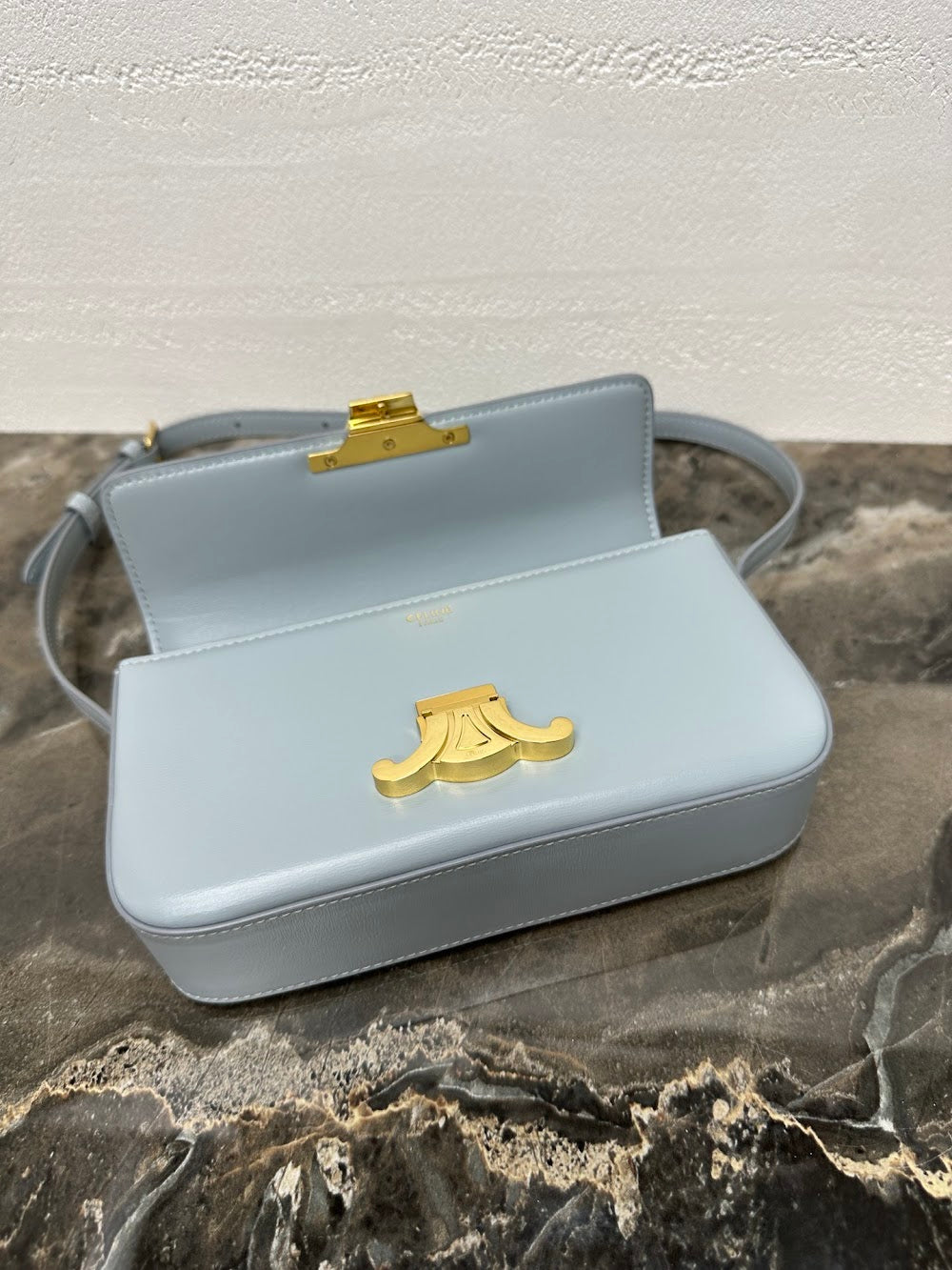 Dragons Bags Celine Luxury Bag --112425
