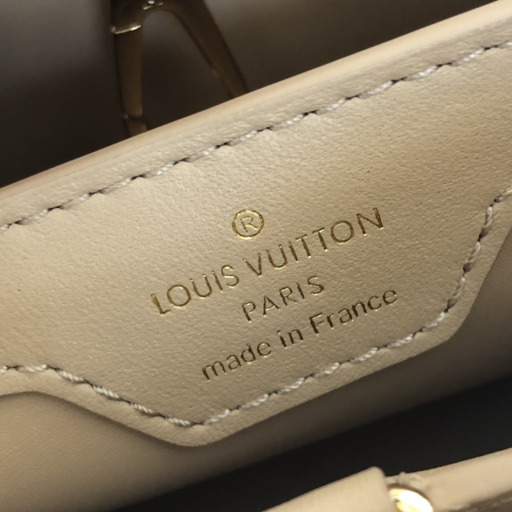 Dragons Bags ln Luxury Bag --66977