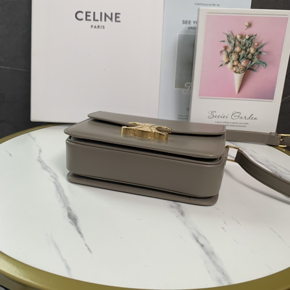 Dragons Bags Celine Luxury Bag --112000
