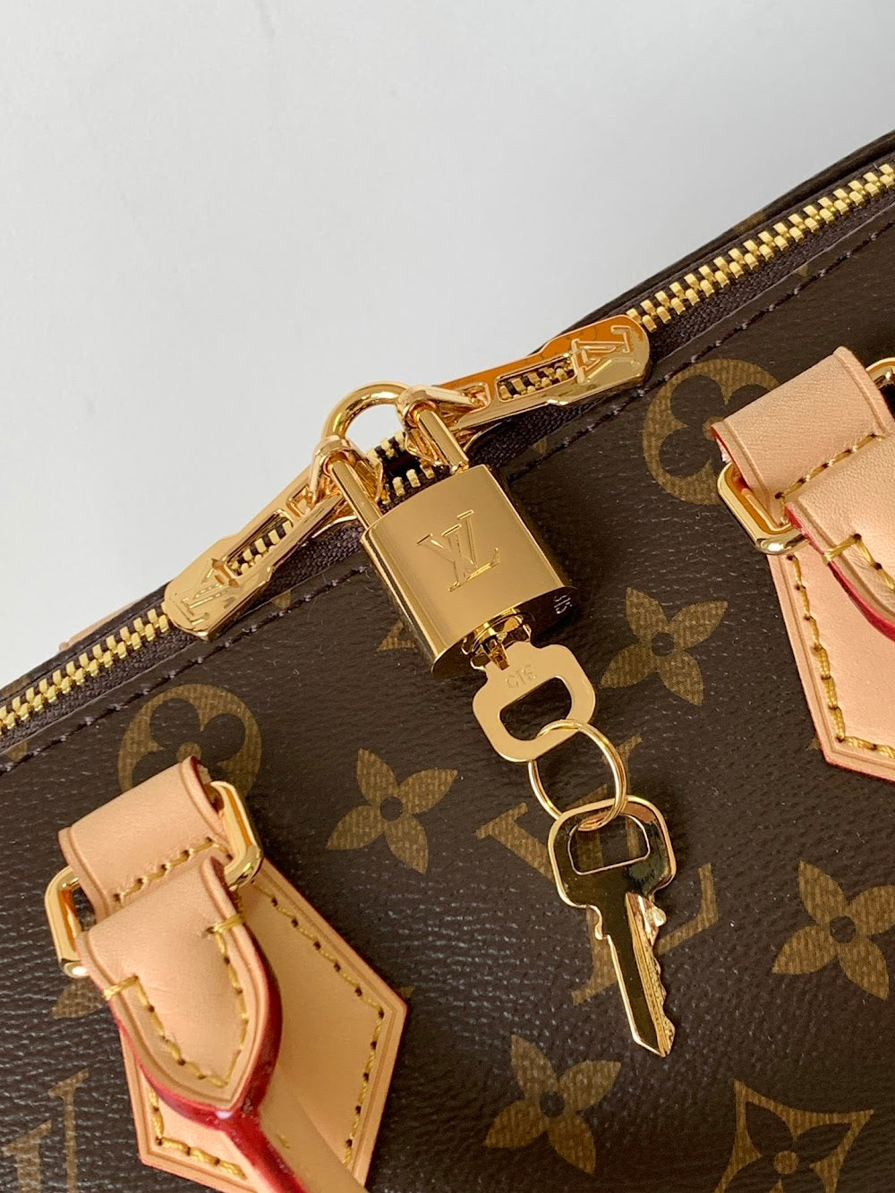 Dragons Bags ln Luxury Bag --81516