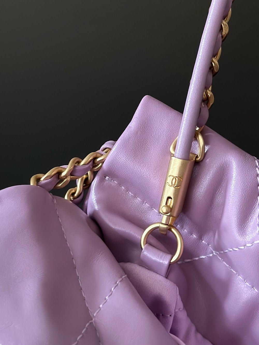 Dragons Bags CHn Luxury Bag --112759