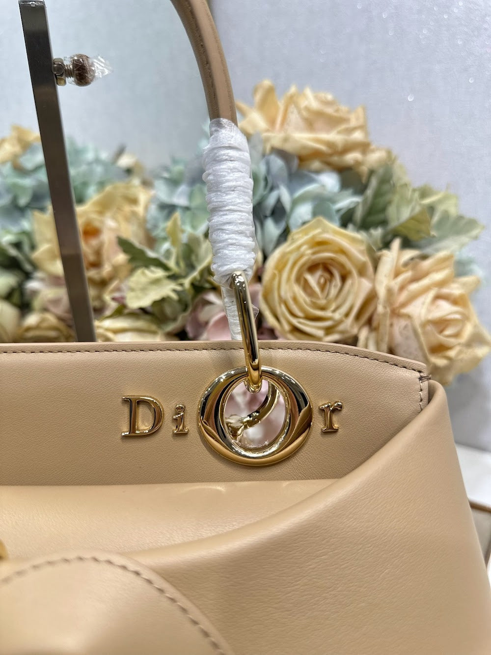 Dragons BagsDiorn Luxury Bag --115373