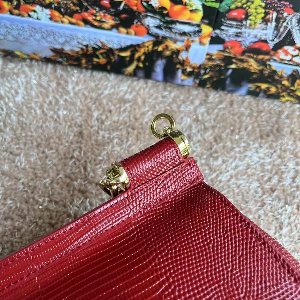 Dragons Bags DGn Luxury Bag --94123