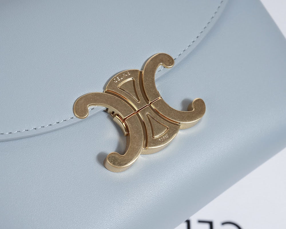 Dragons Bags Celine Luxury Bag --112311