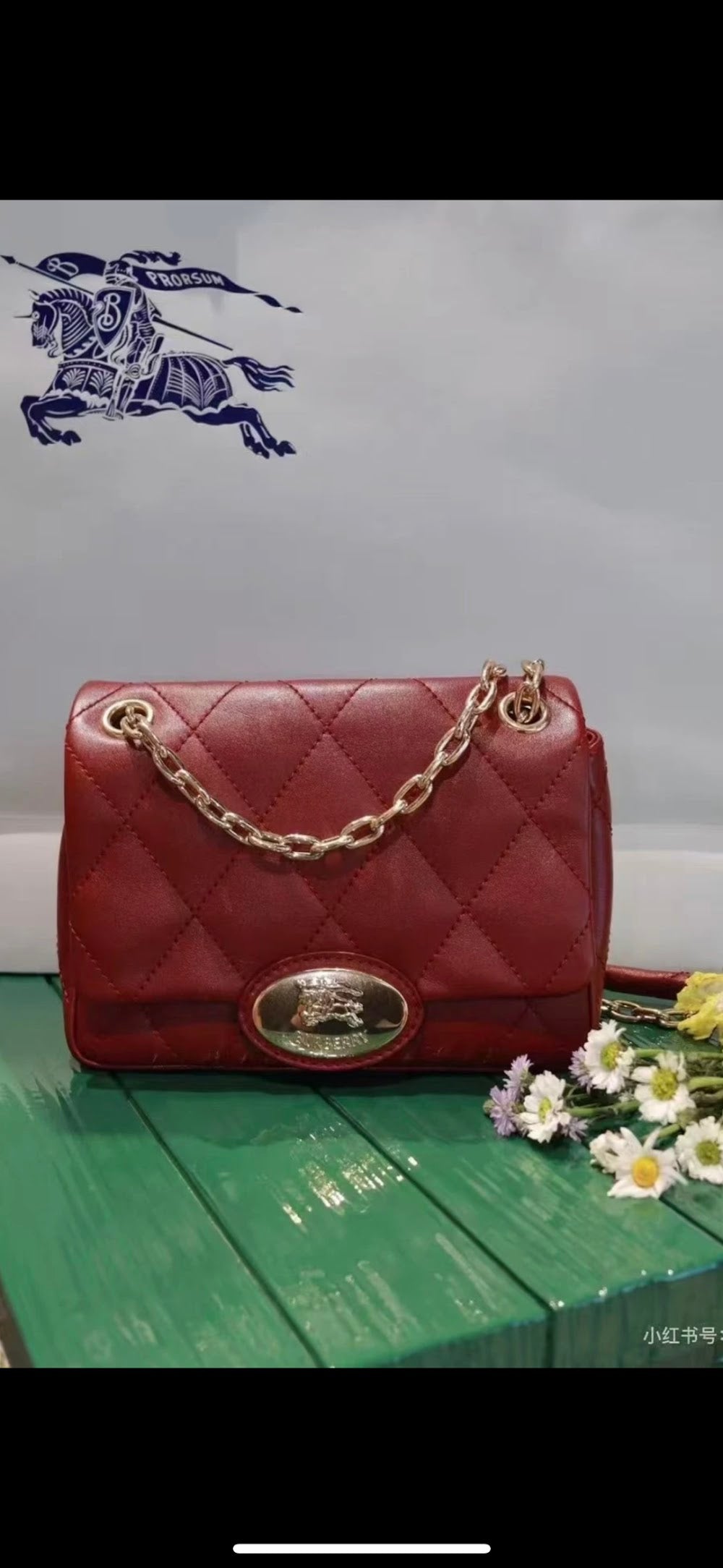 Dragons Bags Burberryn Luxury Bag --92335