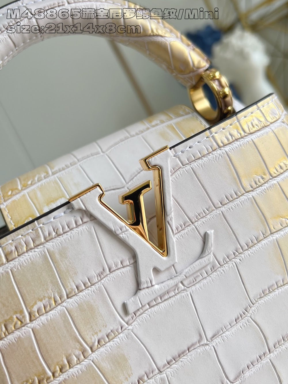 Dragons Bags ln Luxury Bag --95732
