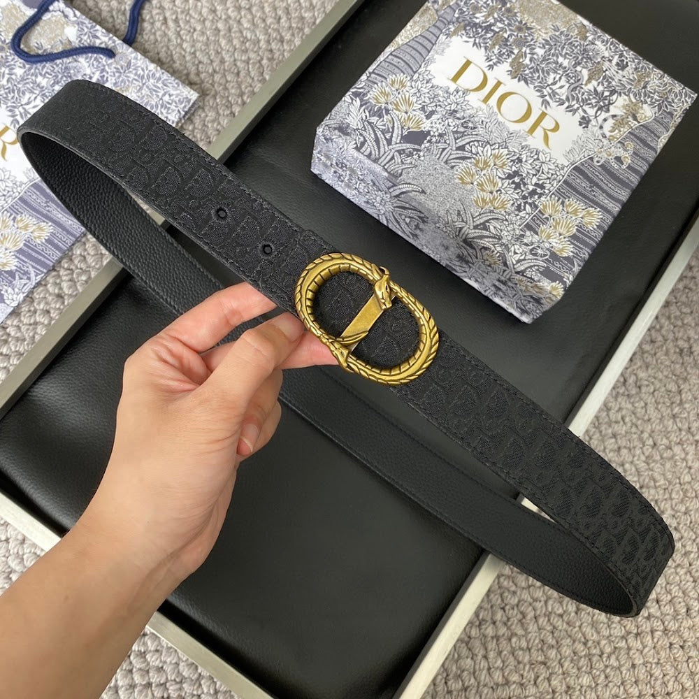 Dragons Bags Diorn Luxury Belt --107756