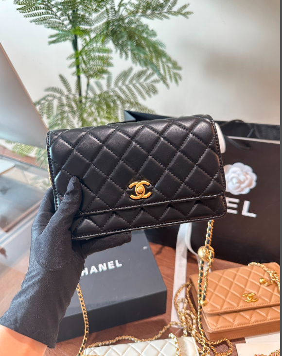 new-designer-premium-bags-nm10235